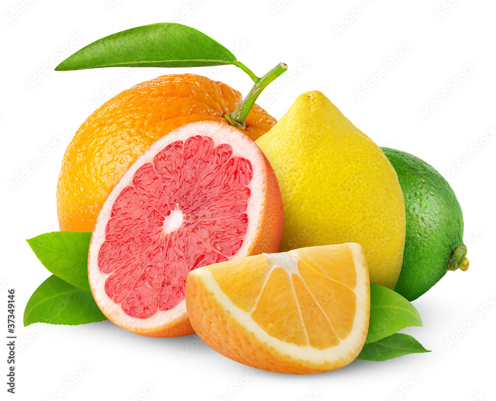 柑橘类白色果实