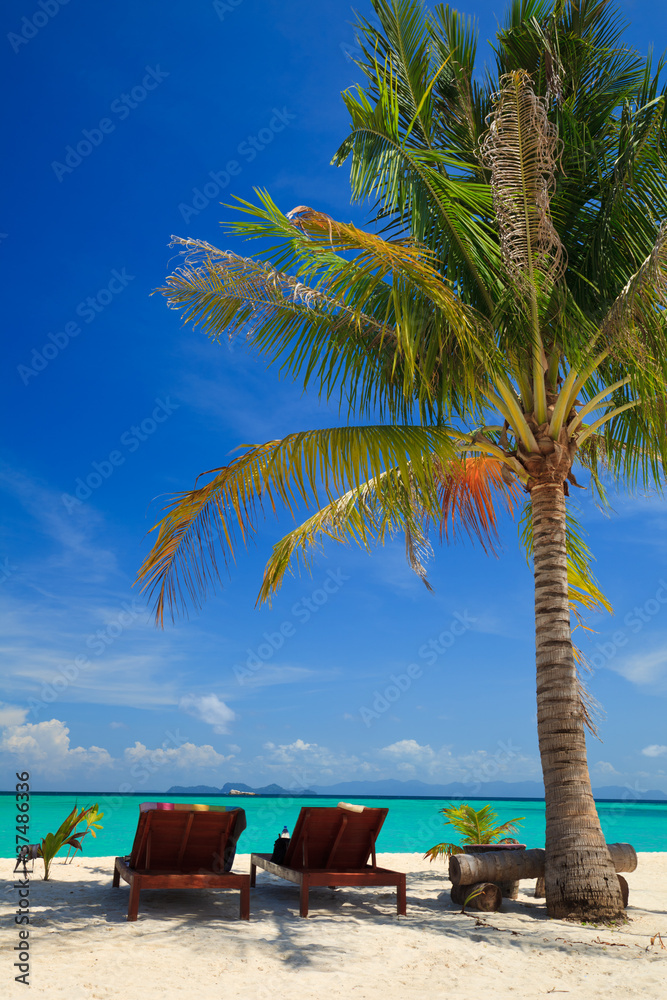 泰国利佩岛棕榈树下的沙滩椅