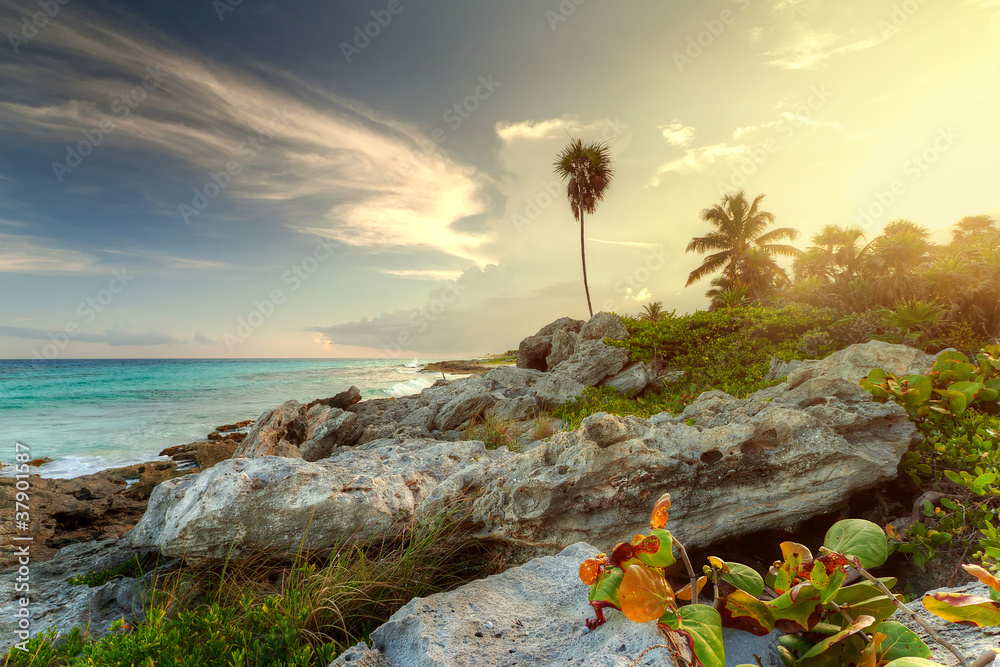 墨西哥加勒比海丛林中令人惊叹的日落