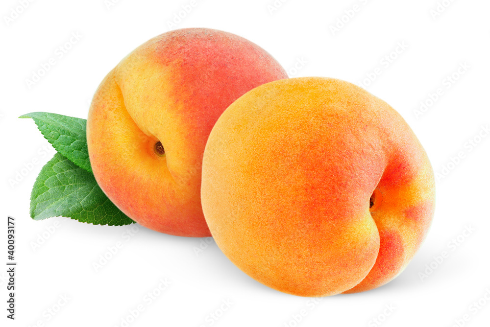 分离的水果。两个桃子（或杏子）在白色背景上分离