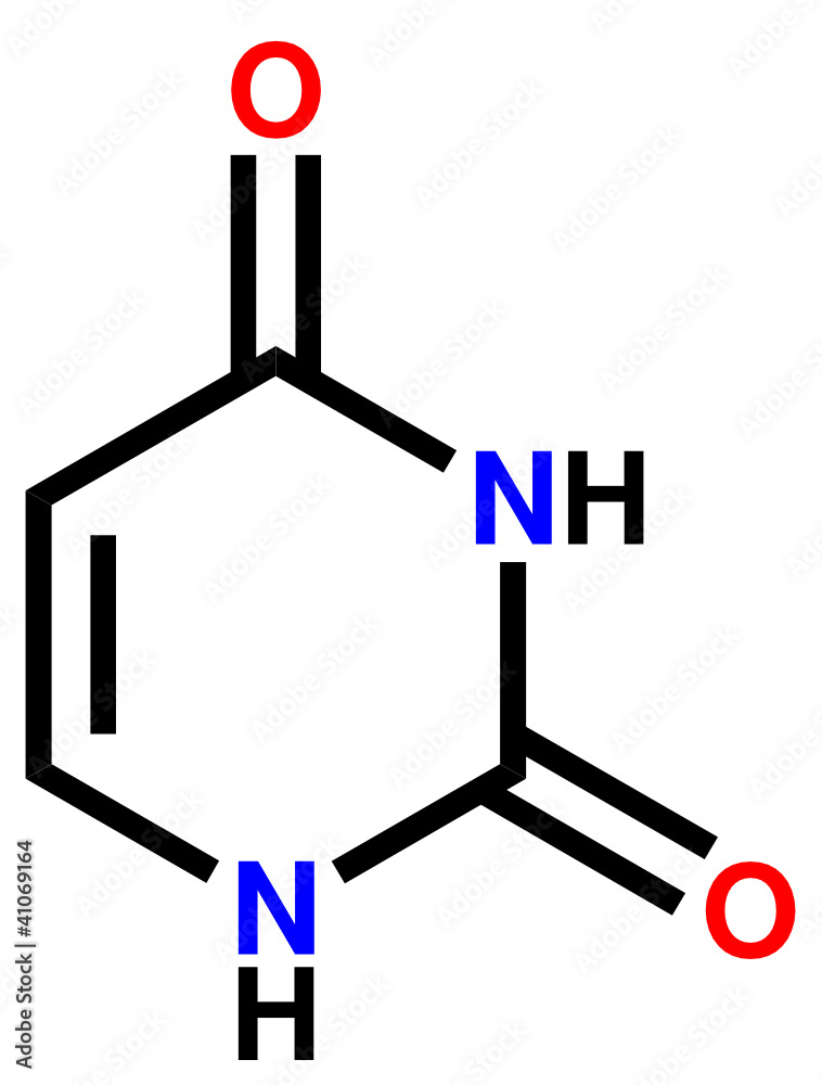 核苷酸尿嘧啶结构式