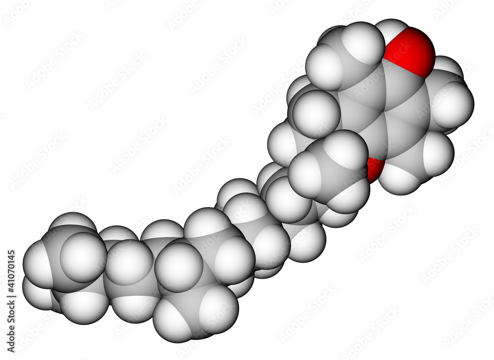 α-生育酚（维生素E）空间填充分子模型