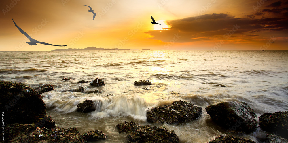 日落与大海的剪影鸟