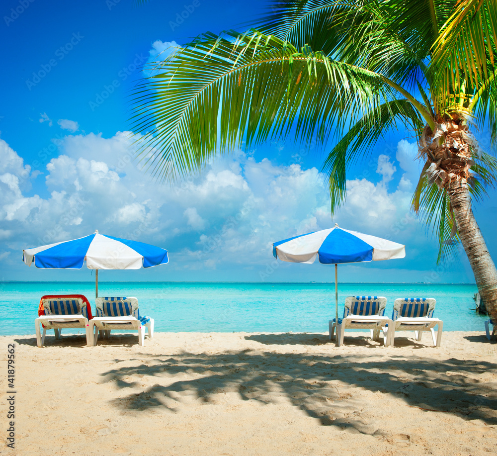 度假和旅游概念。天堂海滩上的日光浴床