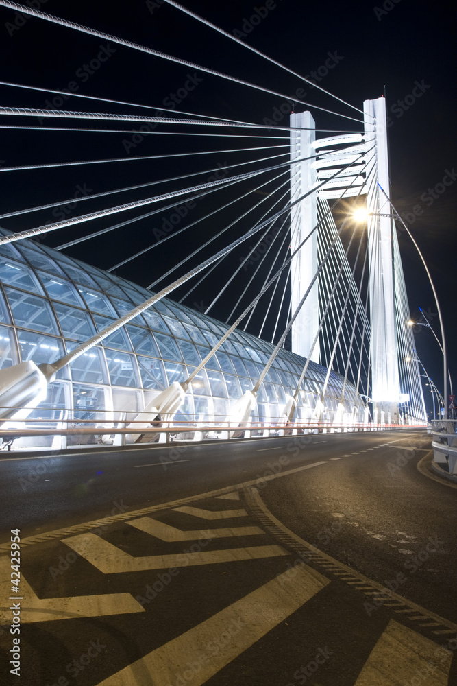 罗马尼亚布加勒斯特，夜晚的巴士拉大桥