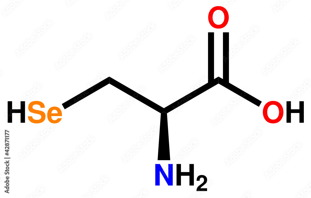 氨基酸硒代半胱氨酸结构式