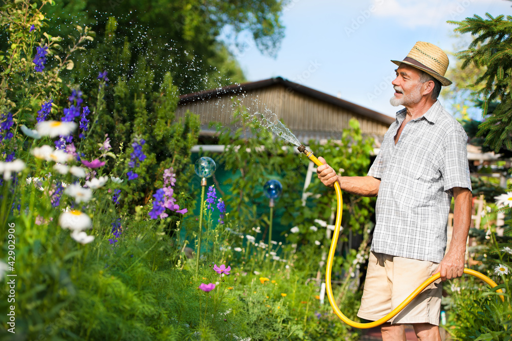 老人用软管给花园浇水