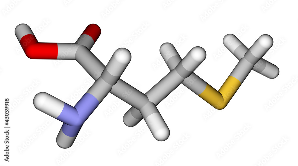 必需氨基酸甲硫氨酸3D分子模型