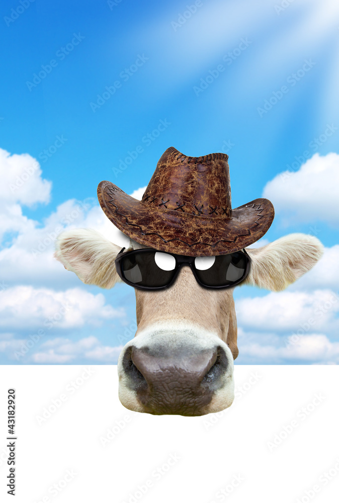 有趣的奶牛肖像