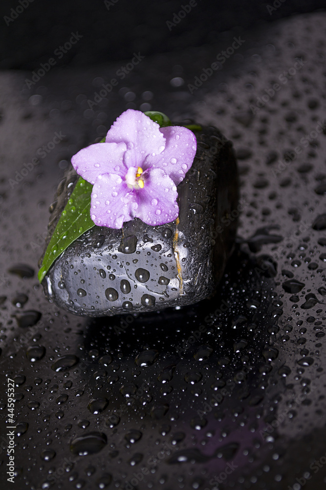 黑色背景上有叶子、花朵和水滴的黑色石头