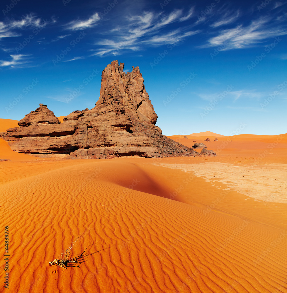 阿尔及利亚撒哈拉沙漠