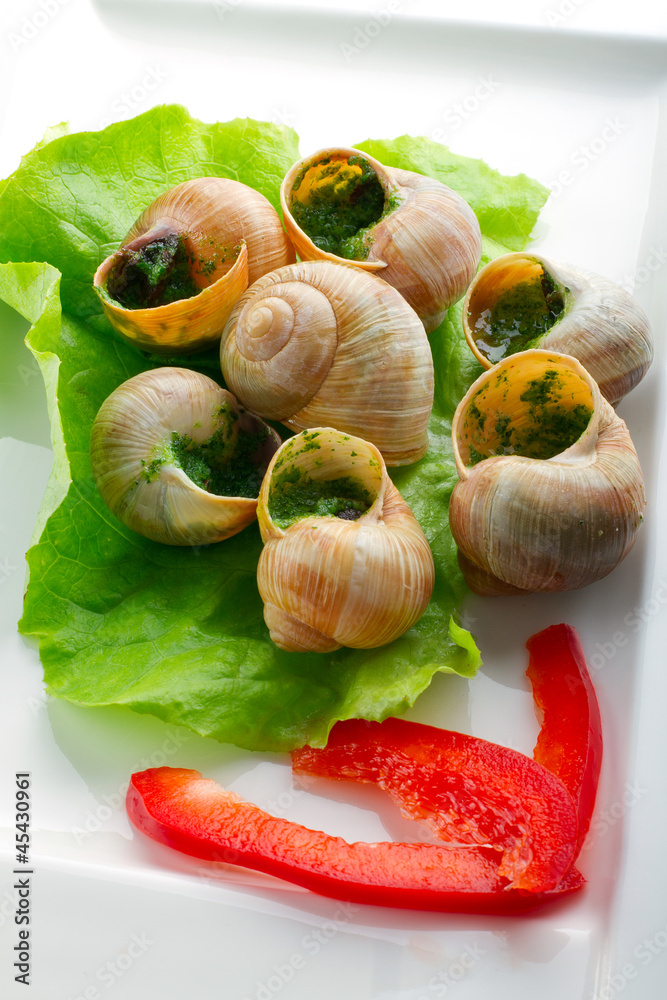 大蒜黄油法国蜗牛晚餐