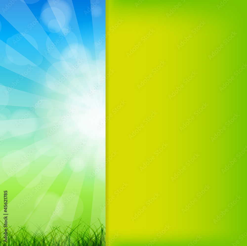 Summer Abstract Background with grass and chamomile against sunn