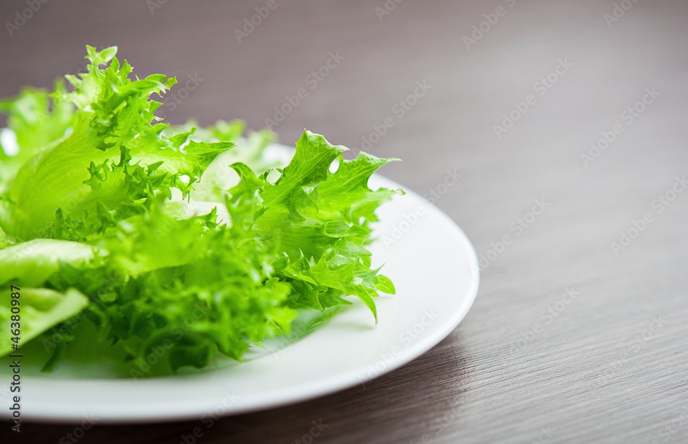 盘子里的绿色生菜特写宏观。饮食概念