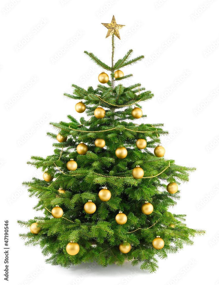 Dichter, gold geschmückter Weihnachtsbaum