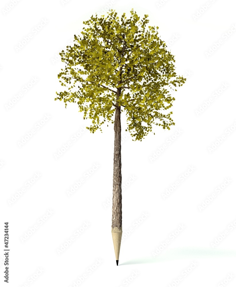 带树的木制铅笔，孤立的白色