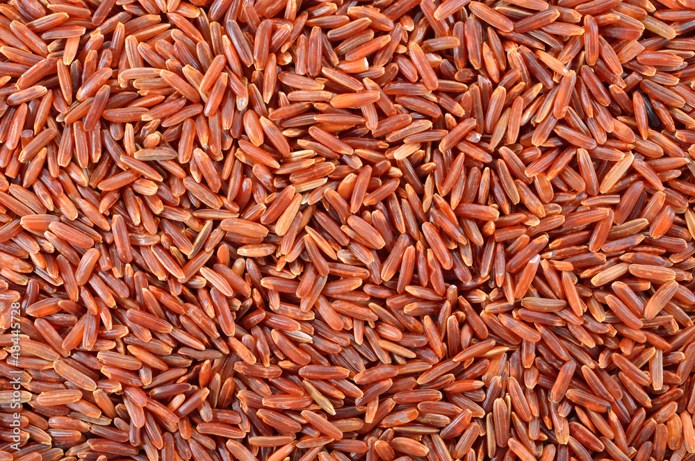 红米背景