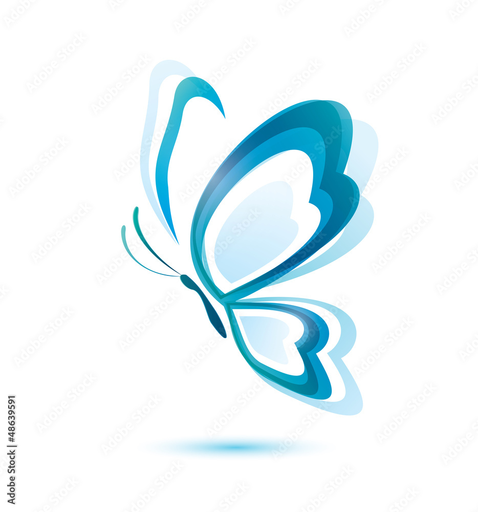 blue butterfly, beauty concept