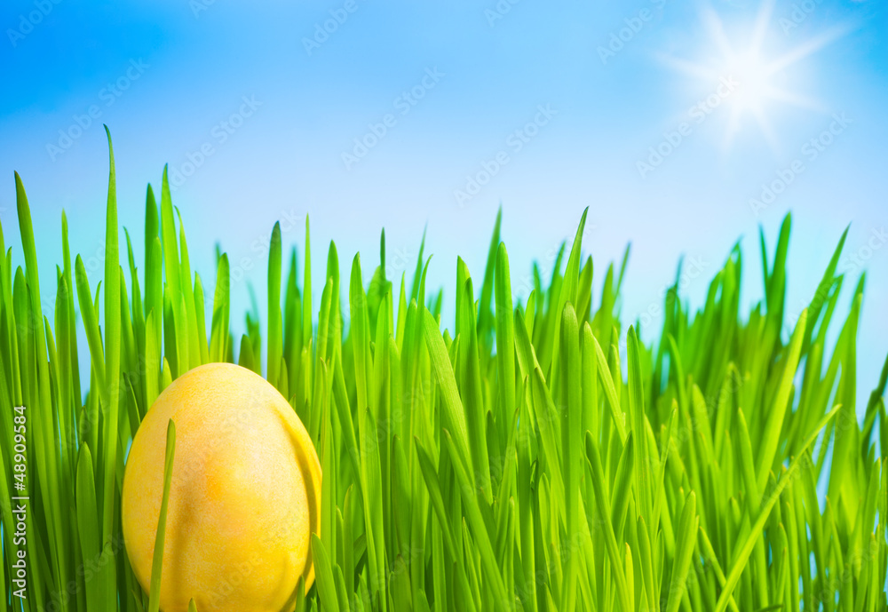 黄色复活节彩蛋
