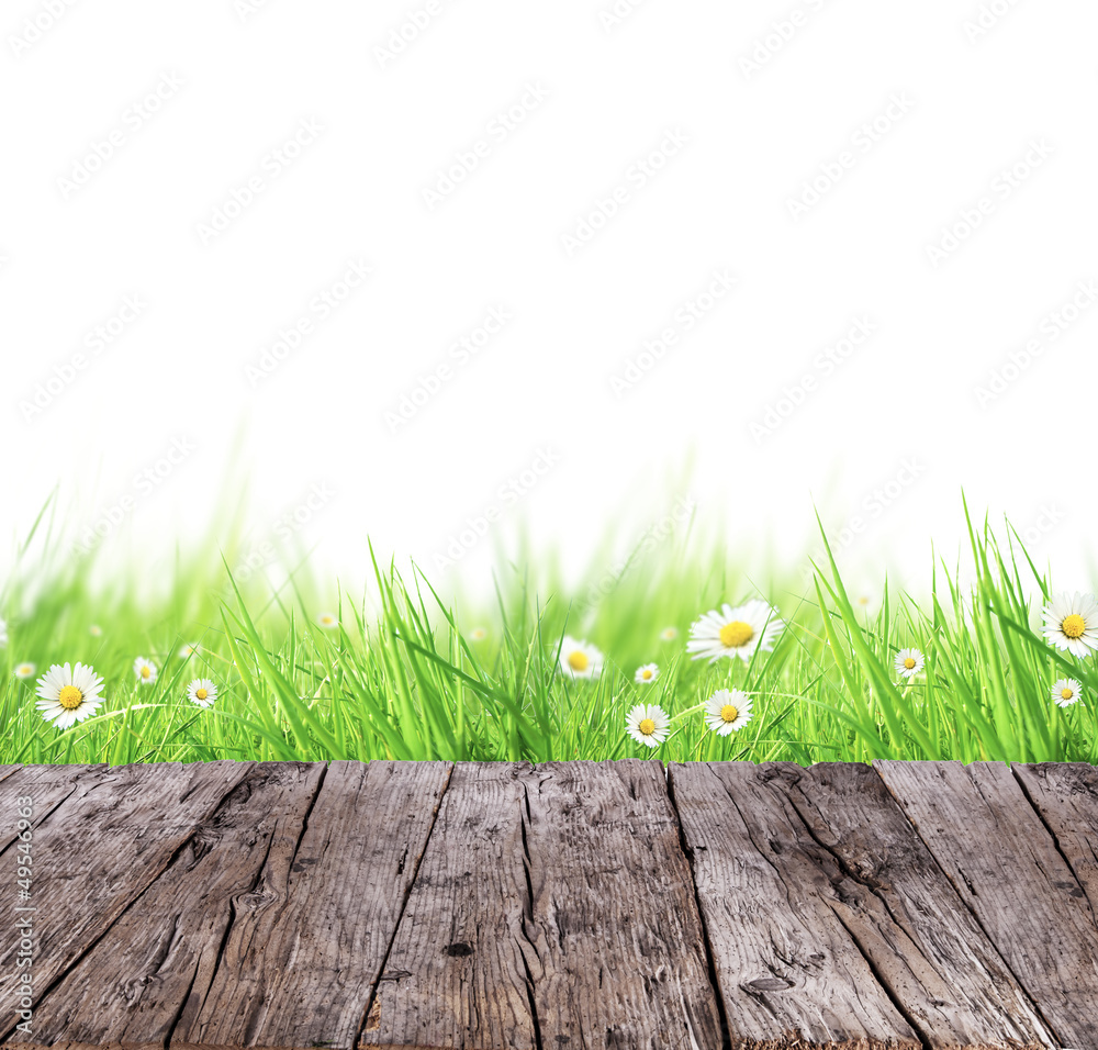 木板和白色背景的春天草地概念
