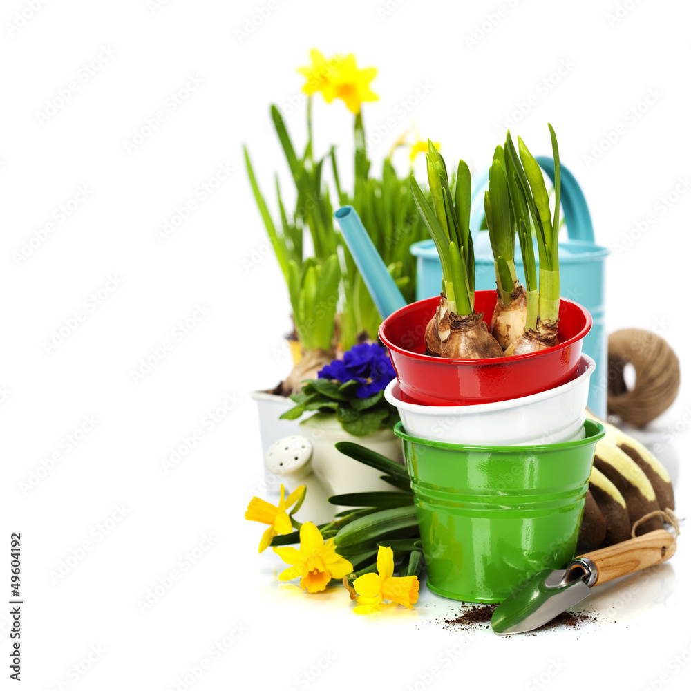 春花和园艺工具