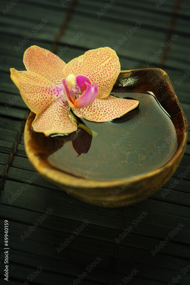 spa composition with beautiful orchid