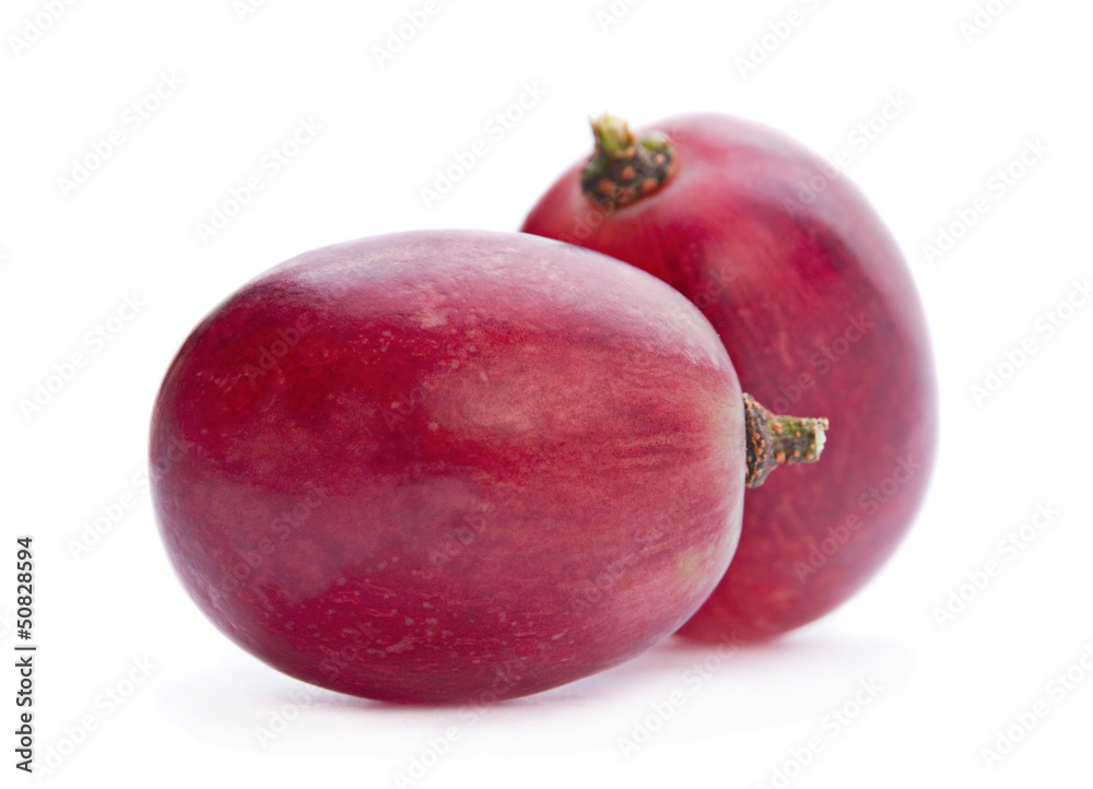 葡萄浆果