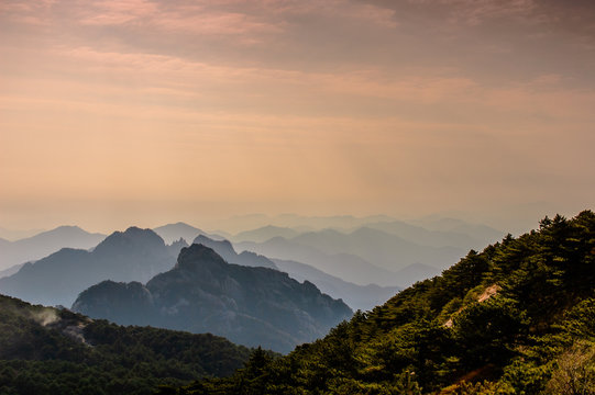 Huangshan Mountains And Trees