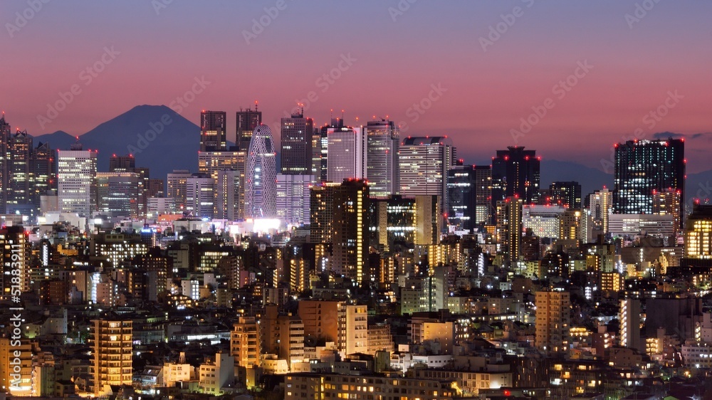 Tokyo Skyline and Fuji Mountain