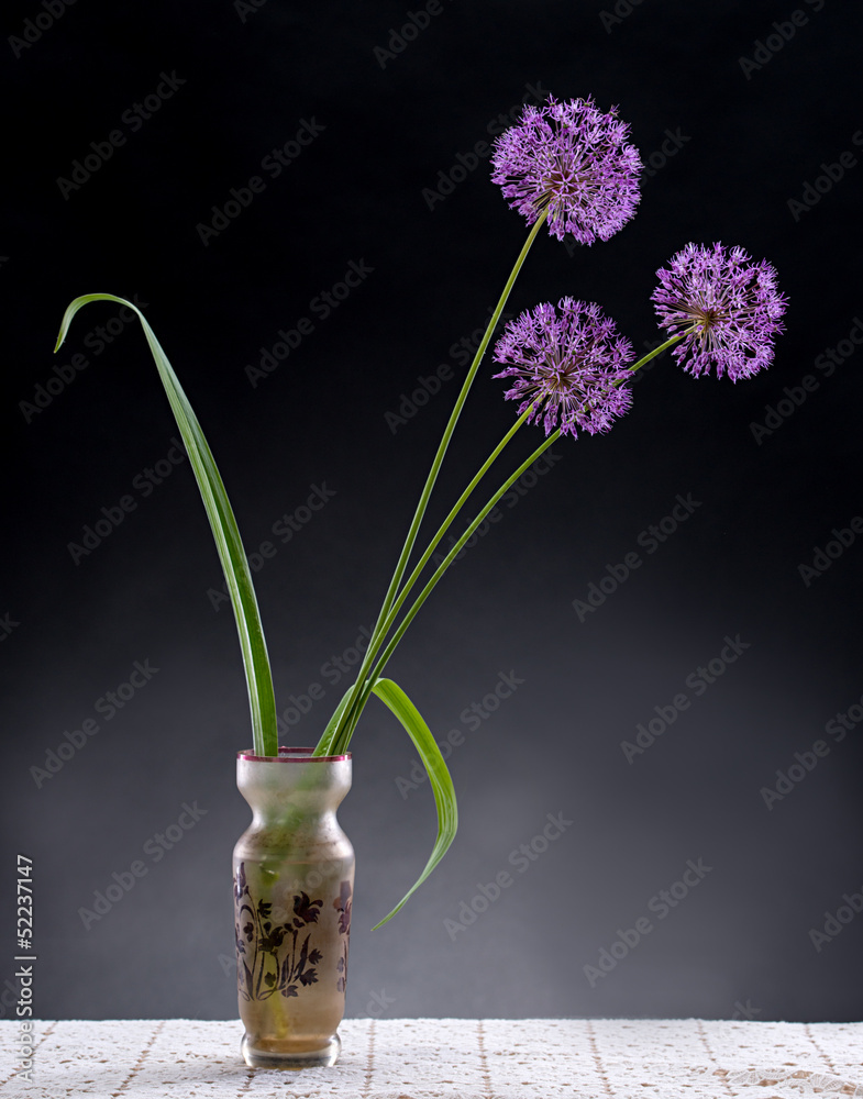 花瓶里的紫罗兰大蒜花