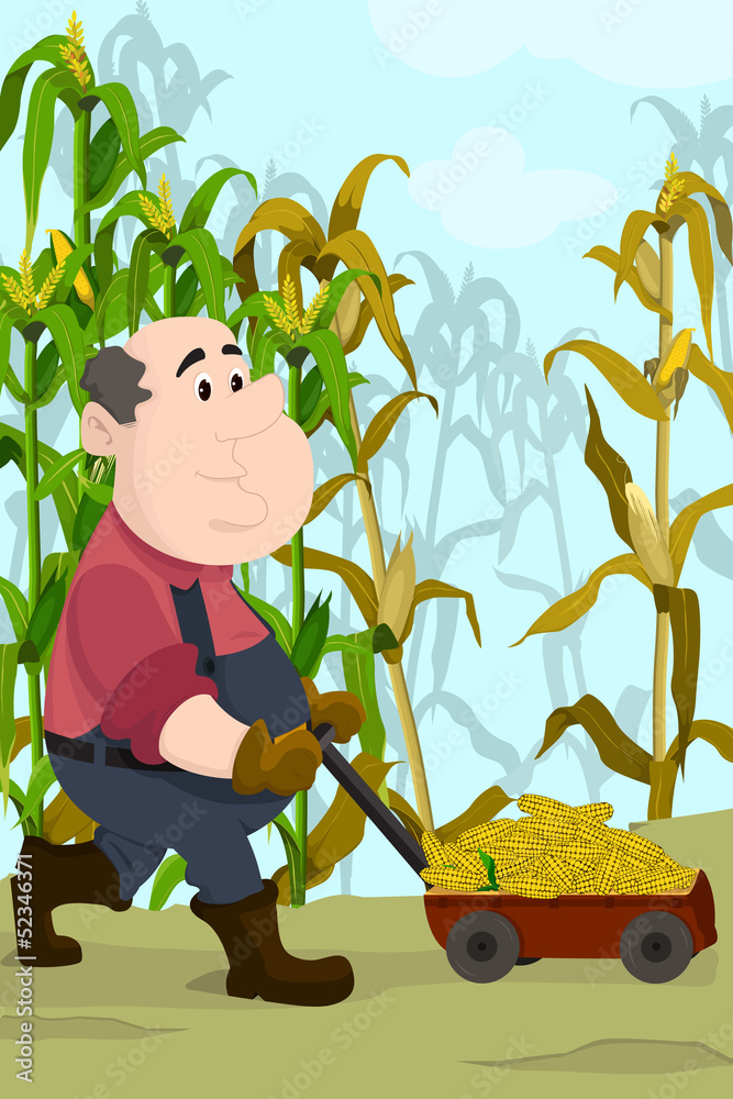 农民收割玉米