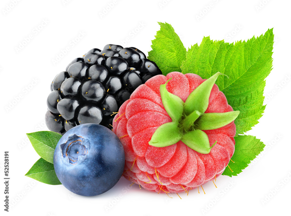 分离的浆果。新鲜的树莓、黑莓和蓝莓分离在白色背景上