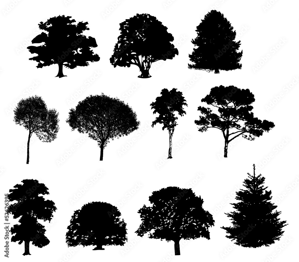 树形轮廓的矢量图