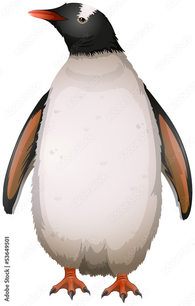 Gentoo企鹅