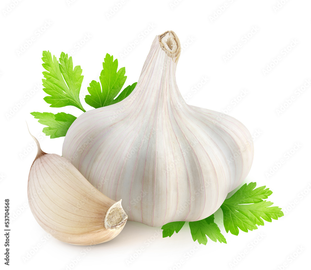 Isolated garlic. Head of dried garlic, one segment and parsley leaves isolated on white background