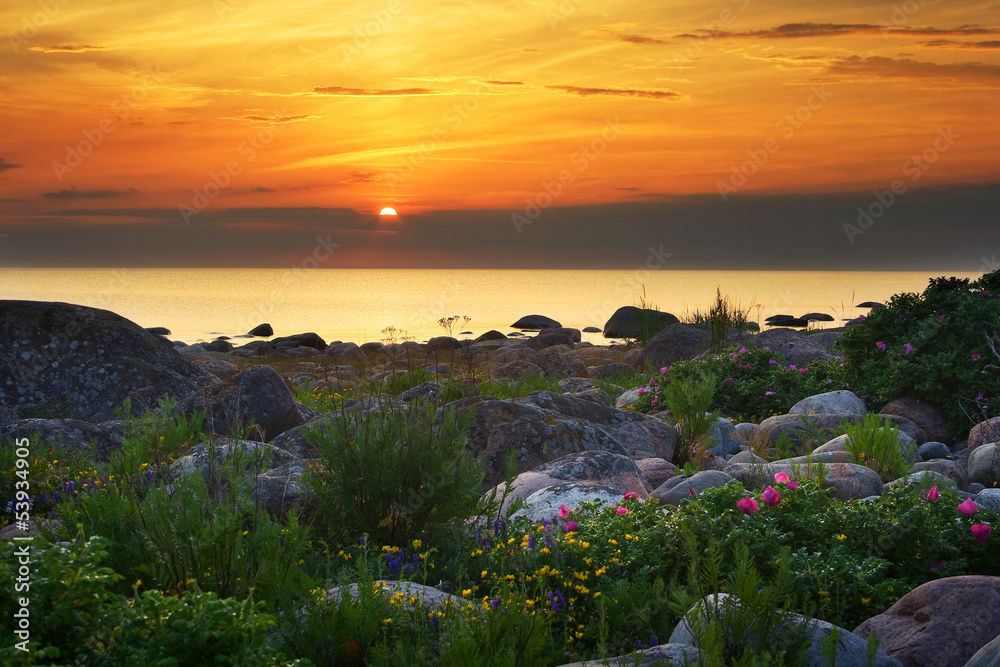 岩石海岸的落日