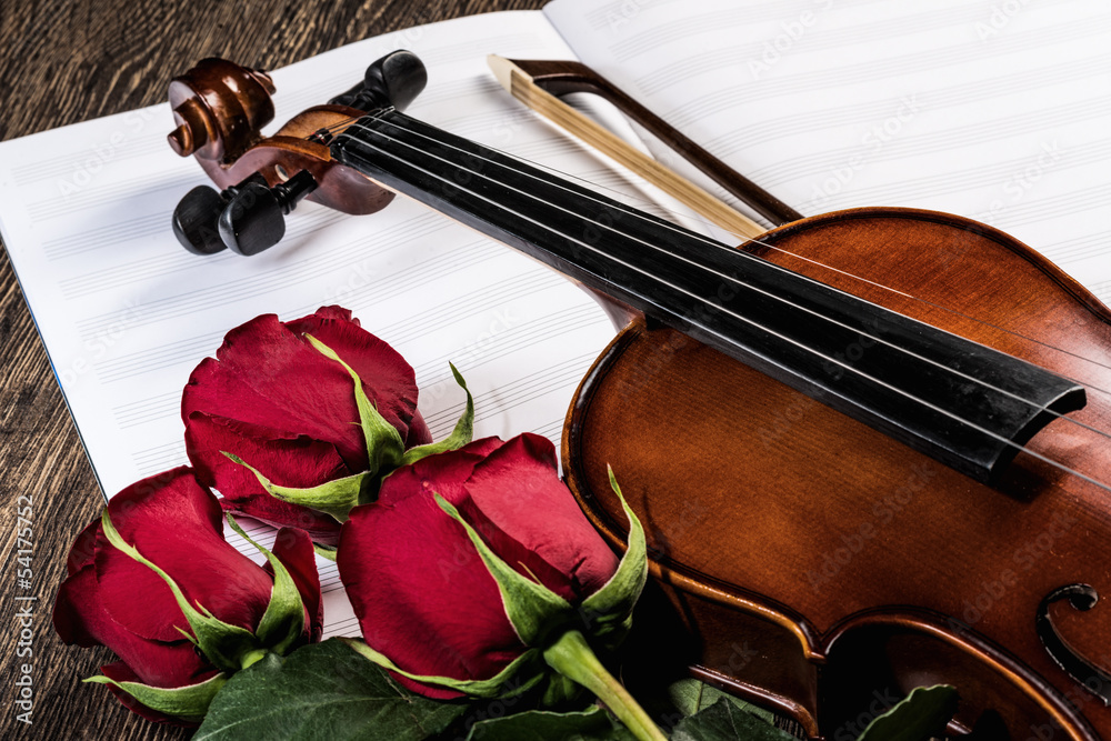 小提琴、玫瑰和音乐书籍