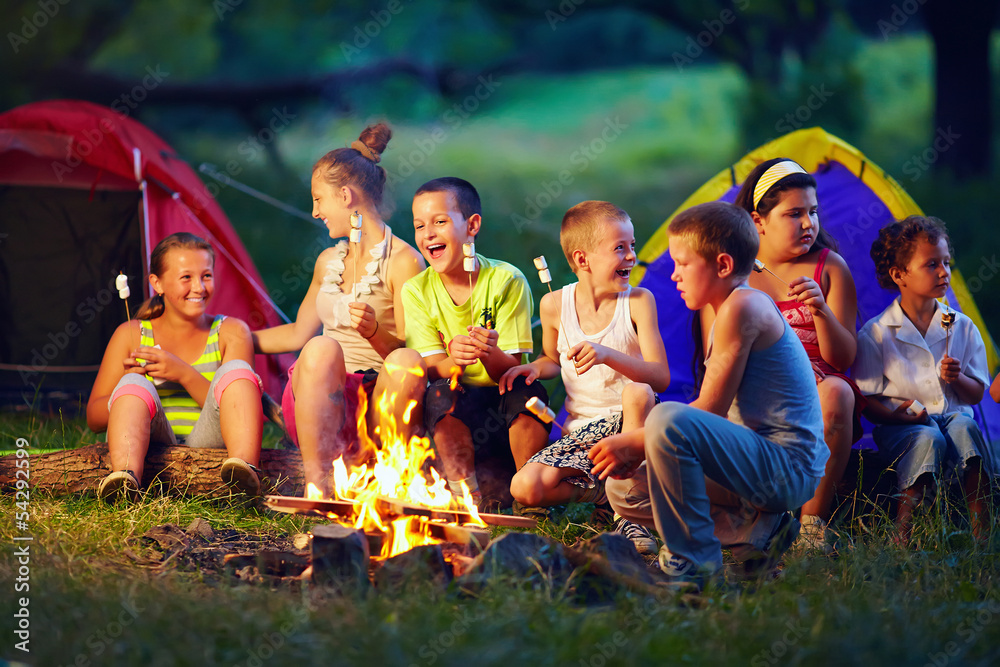 一群快乐的孩子在篝火上烤棉花糖