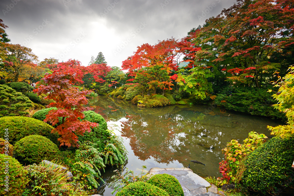 Foliage in Nikko