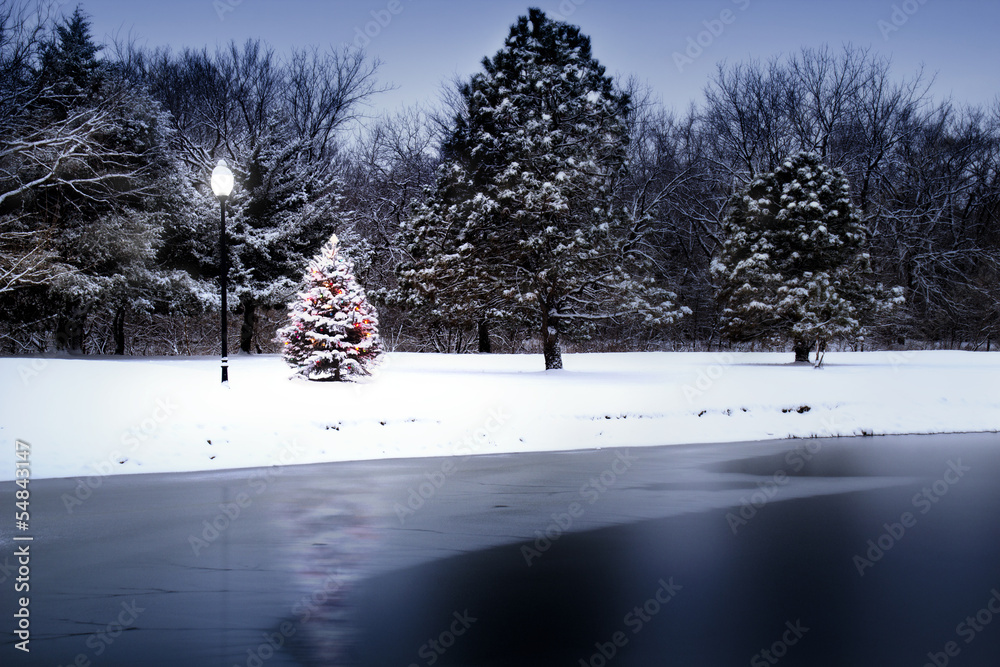 魔幻之光照亮湖边白雪覆盖的圣诞树