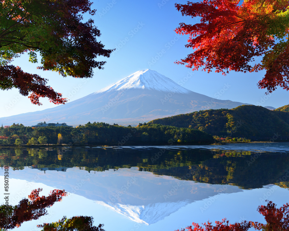 来自日本川口湖的秋天的富士山