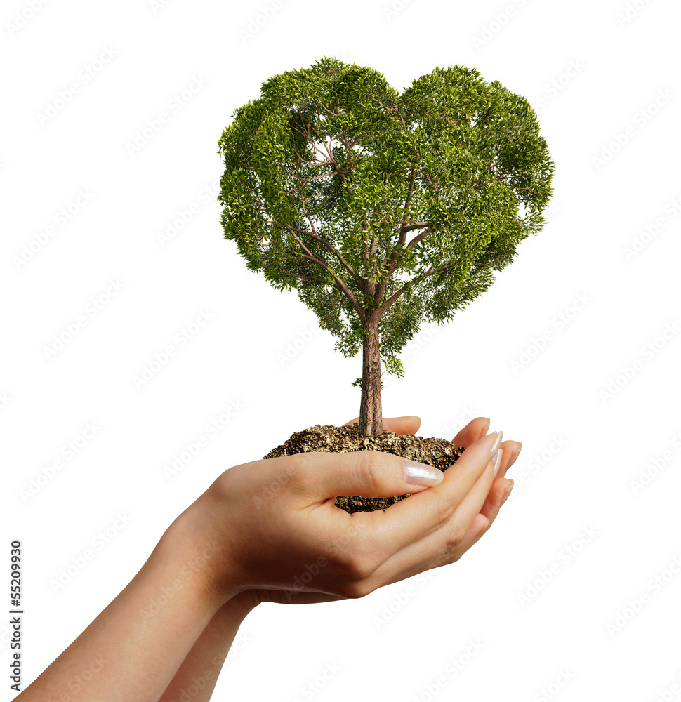 Woman hands holding soil with a tree heart shaped.