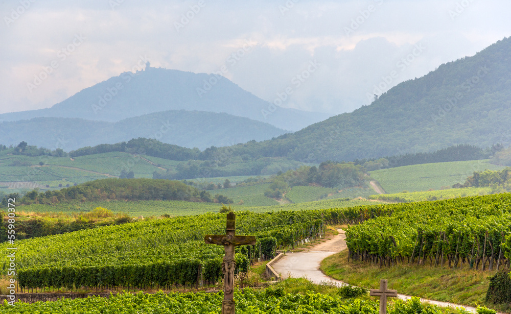Famous wine route in Alsace, France