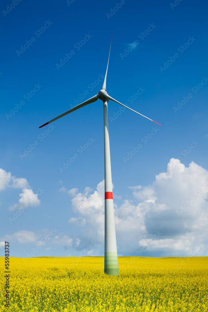 黄色草地上的风力涡轮机