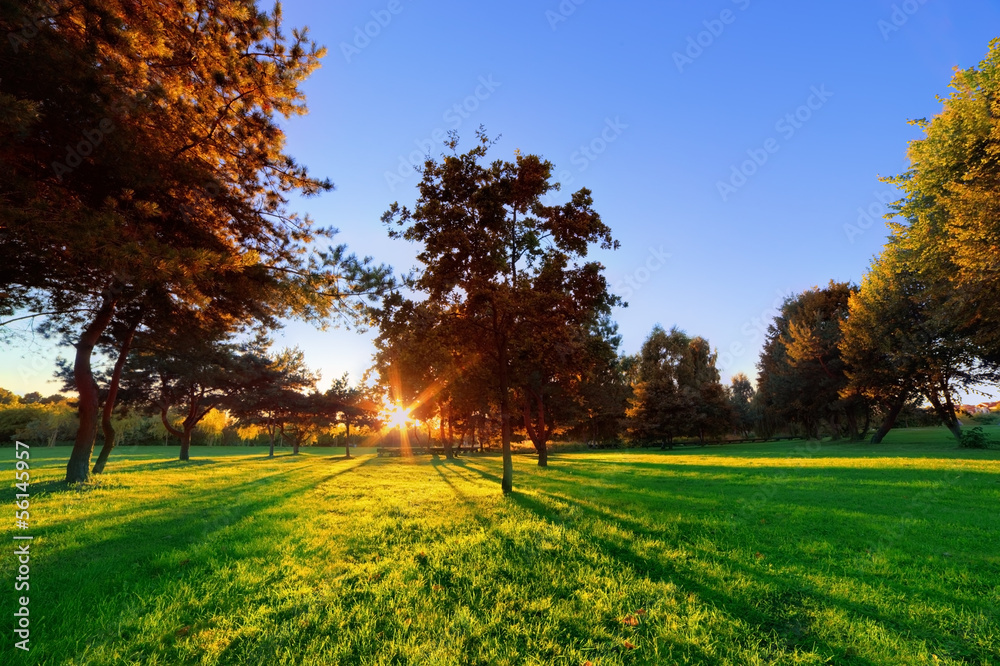 夏末，公园里的秋日日落