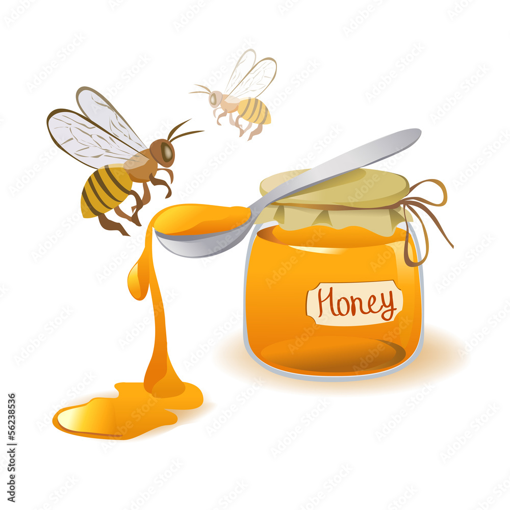 白色背景上的蜂蜜和蜜蜂汤匙