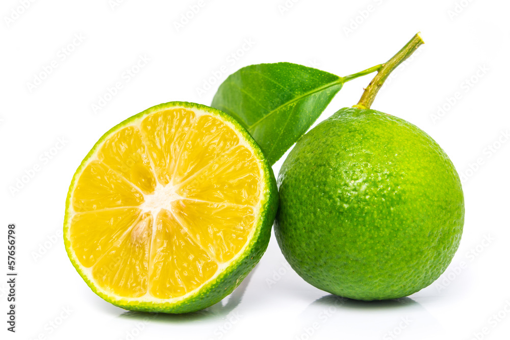 绿叶酸橙。在白色上隔离。