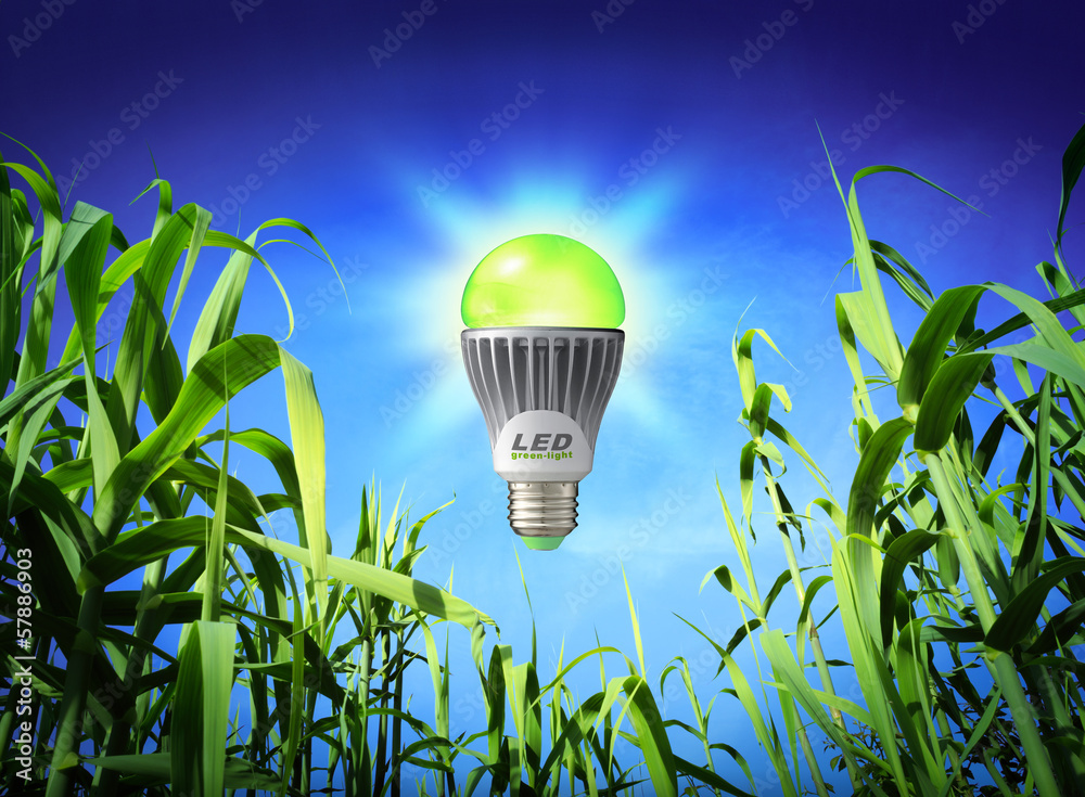 生长生态-led灯-绿色照明