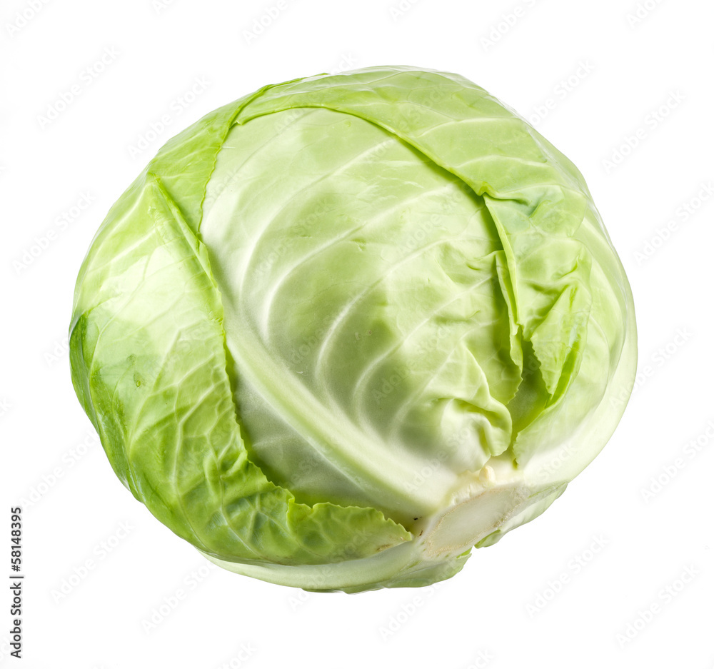 在白色背景下分离的绿色卷心菜