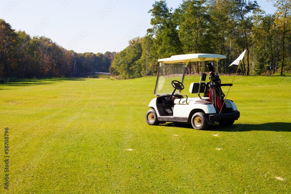 高尔夫球场上的高尔夫球车